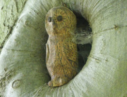 Neviâthien – Erlebnisse einer jungen Jägerin