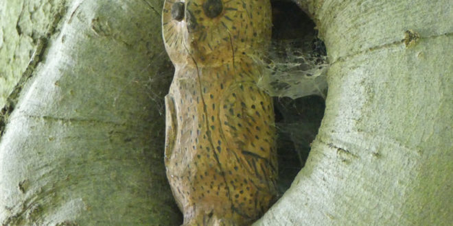 Neviâthien – Erlebnisse einer jungen Jägerin