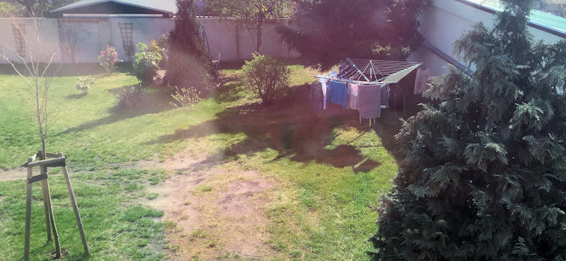 90 EUR für eine verfickte Wäschespinne